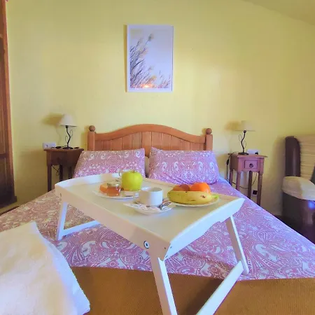Complejo Turistico Rural Pinar De Amurjo *